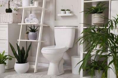 Eco-Friendly Bathroom Ideas